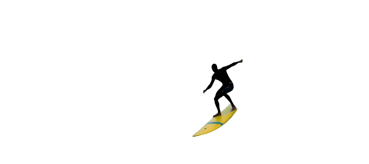 05 - surfer